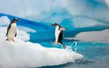 Antarctica2 Antarctica2